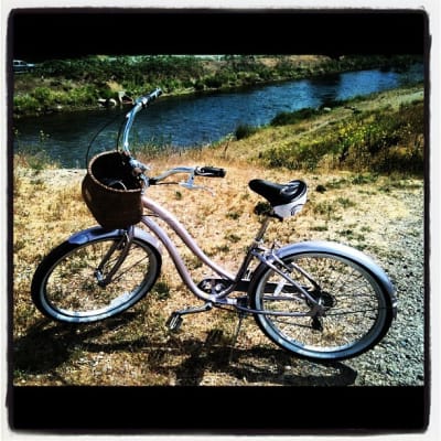 trek calypso women's bike