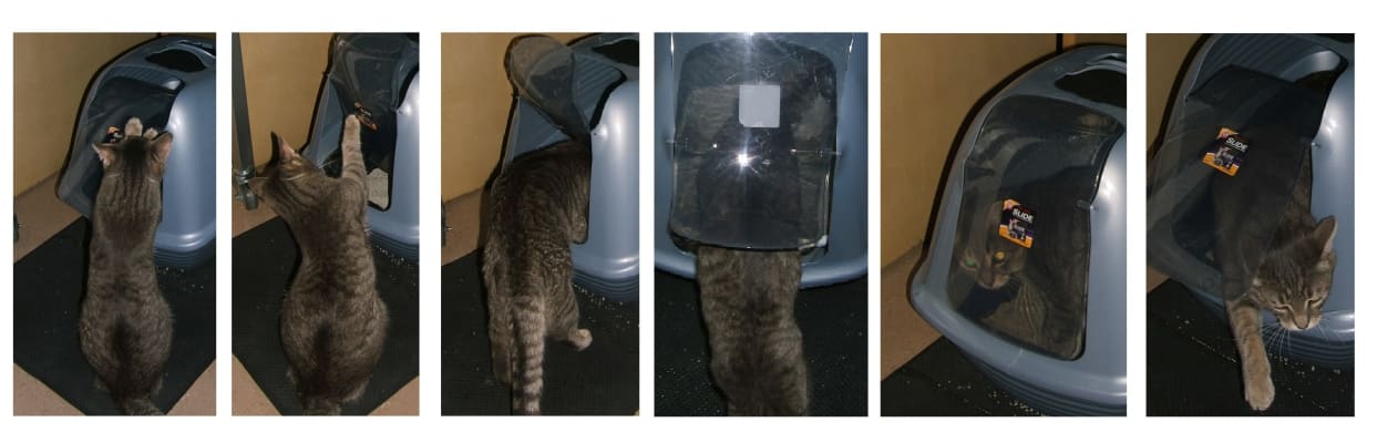 big lots cat litter box