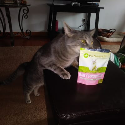 Daily Digest For Cats By Pet Naturals Of Vermont