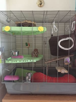 Savic Freddy 2 Max Rat/Ferret Cage 