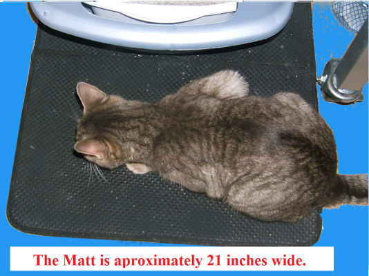 big lots cat litter box