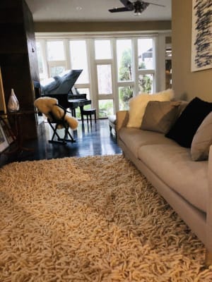 Janus Sofas Mid Century Modern Sofas Sectionals Modern