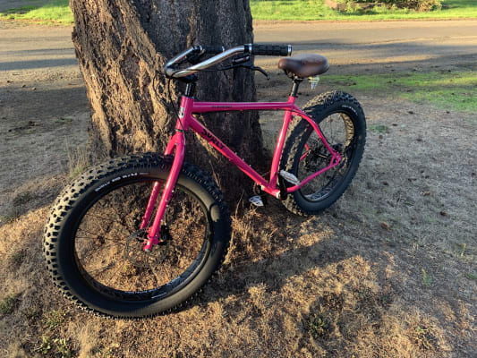 surly ice cream truck