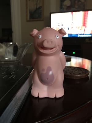 stinky pig toy