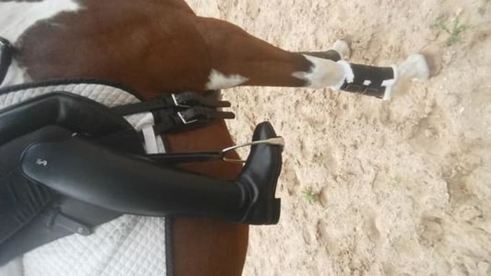 tredstep palladio dressage boot