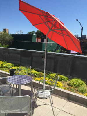 Maui Patio Umbrella In Sunbrella Canvas Modern Outdoor