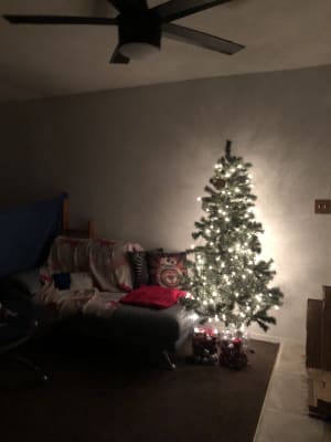 Winter Wonder Lane 6 Sentiments Pre Lit Artificial Christmas Tree With Clear Lights Big Lots