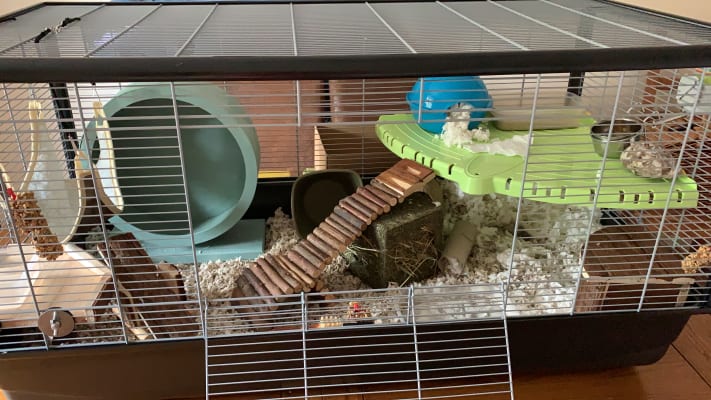 savic plaza hamster and rat cage