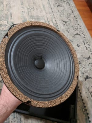 wgs 8 inch speaker