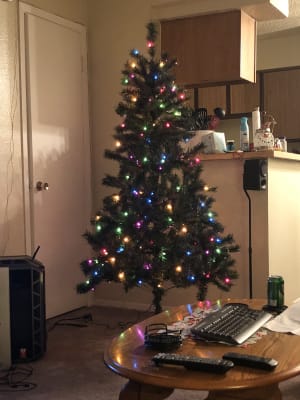 Winter Wonder Lane 6 Sentiments Multi Color Pre Lit Artificial