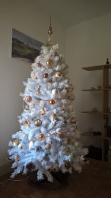 Decouvrez Notre Sapin De Noel Blanc De Chamonix Balsam Hill