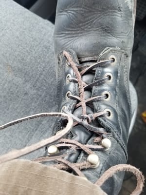 kiwi leather shoe laces