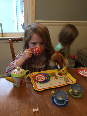 forest friends tea set