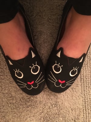 bobs cattitude shoes