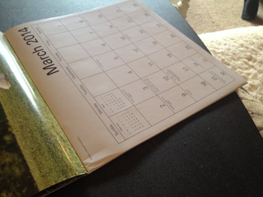 Horses 12x12 Monthly Wall Calendar Lme159 Mead