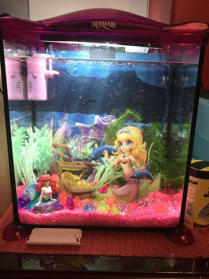 mermaid fish tank