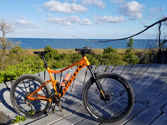 giant stance 2019 orange