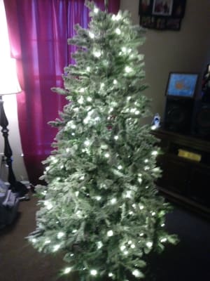 Pre Lit 6 Flocked Christmas Tree W Clear Led Lights Big Lots