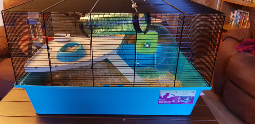 pets at home hamster tubes