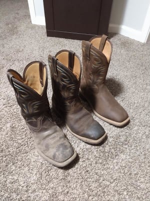 ariat hybrid rancher review