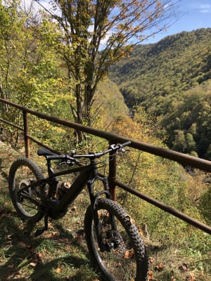 trek powerfly fs 7 plus 2019