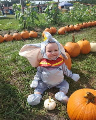 dumbo baby outfit