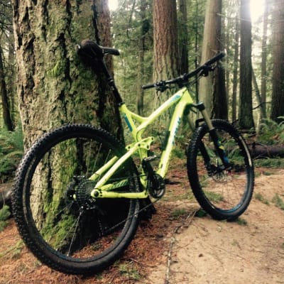 trek remedy 9.8 2016