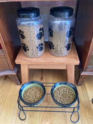 fromm tunachovy cat food