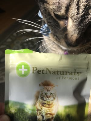 Hairball For Cats By Pet Naturals Of Vermont
