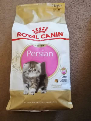 Royal Canin Feline Breed Nutrition Persian Dry Kitten Food 2kg Pets At Home