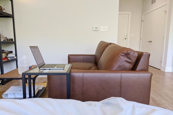Jasper Leather Sofas Modern Sofas Loveseats Modern Living