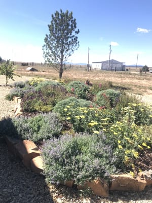 Jumbo Waterwise Pre Planned Garden High Country Gardens