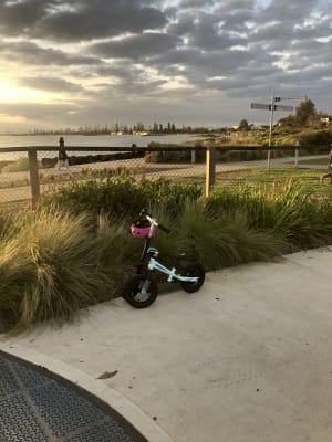 giant balance bike pre