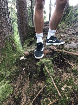 vans ultrarange ac chipmunk