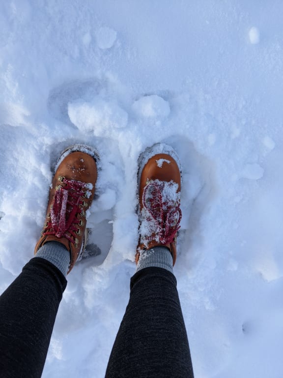 Women's K6 Boot Eddie Bauer