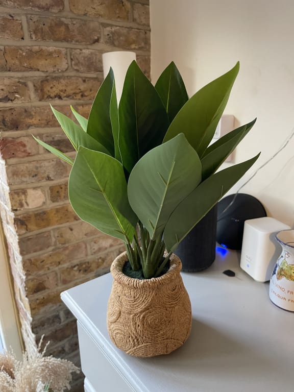 John Lewis Artificial Banana Leaf Plant in Ceramic Basket