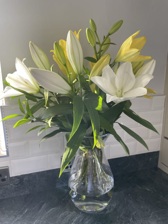 LSA International Flower Grand Posy Vase, H32cm, Clear