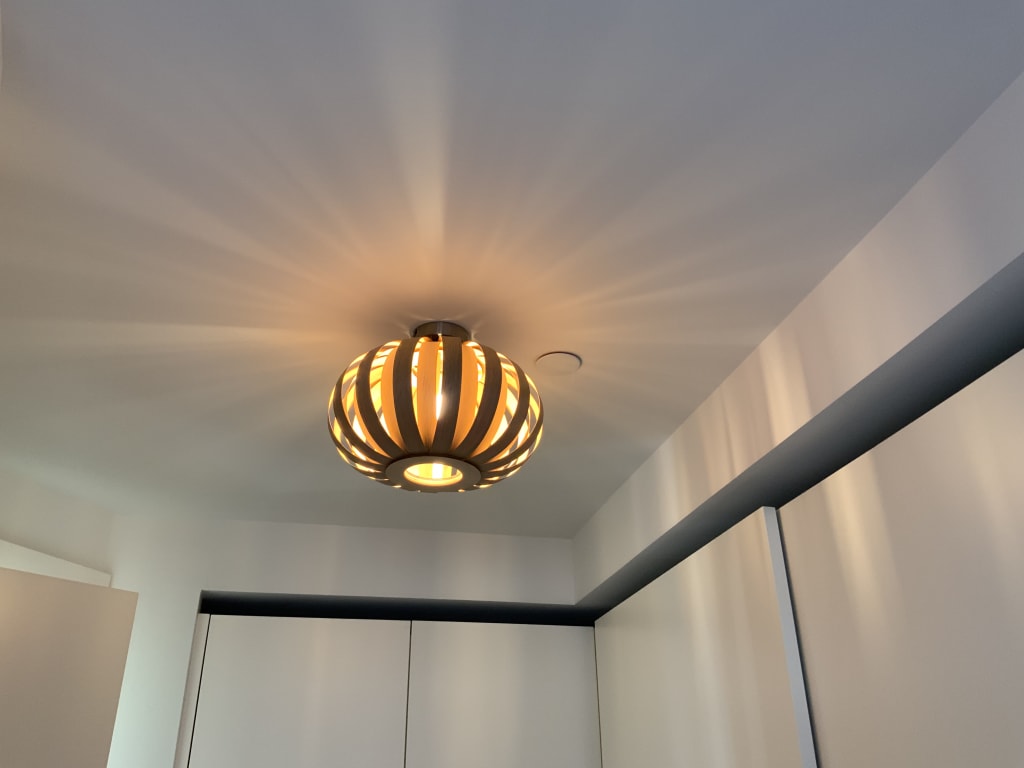 Flush ceiling lights bunnings sales