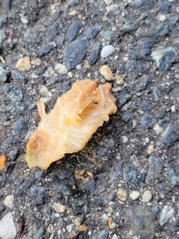 user uploaded review image3 , graphic