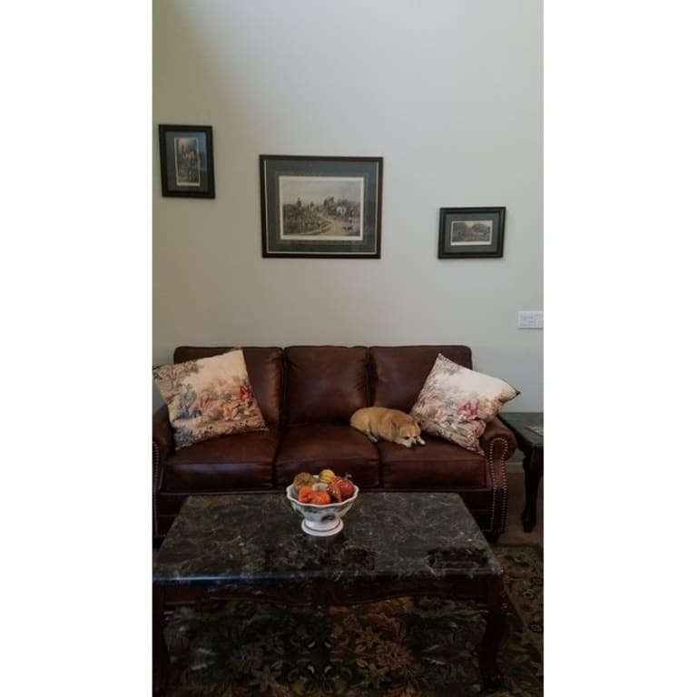 Made in USA Revo Top Grain Leather Sofa Bed, Loveseat and Chair Set