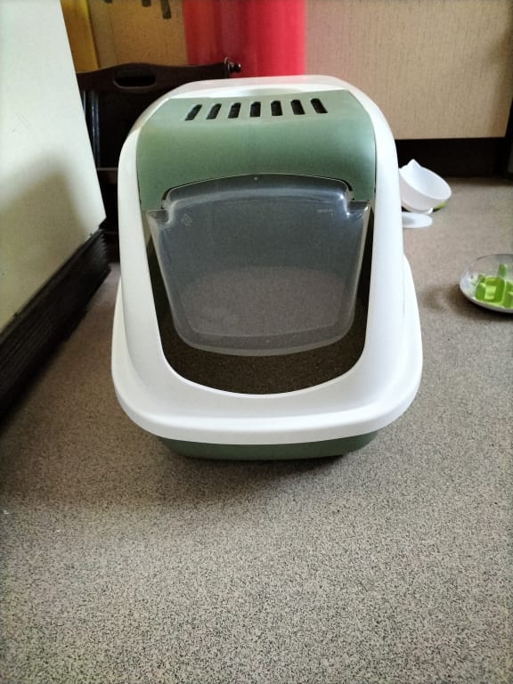 Door permanently hangs open