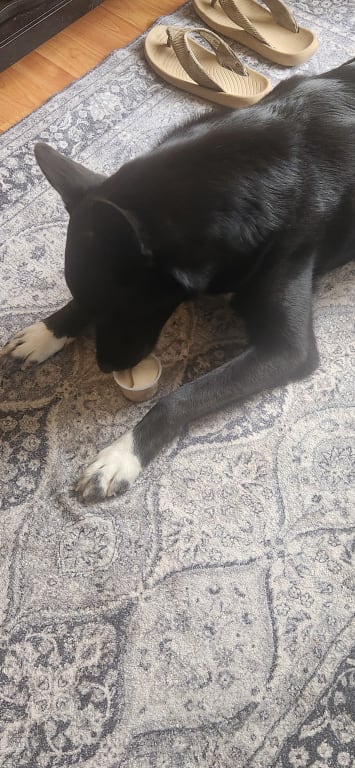 user uploaded review image2 , graphic