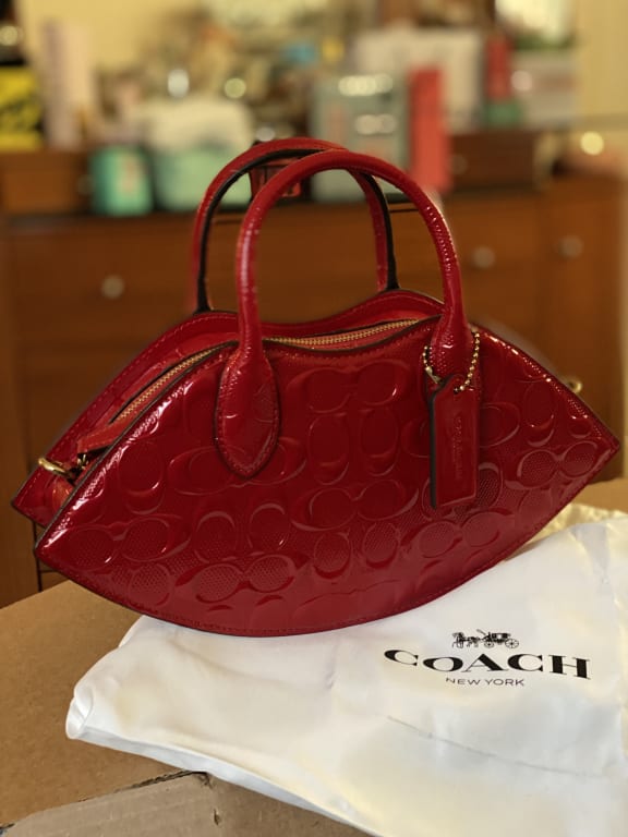 Coach Alma Bag  Bags, Swag bag, Coach bags