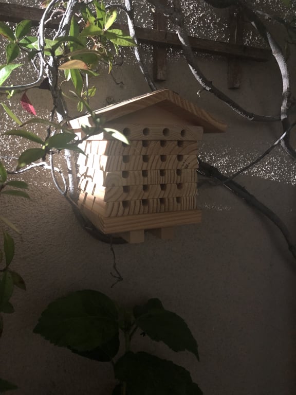 Solitary Bee Hive from Uncommon Goods. Customer submitted image.