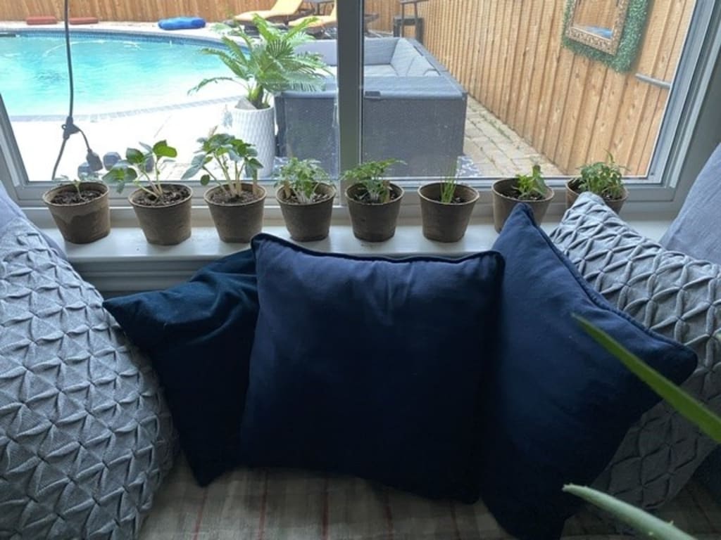 Salsa Grow Kit from Uncommon Goods. Customer submitted image.