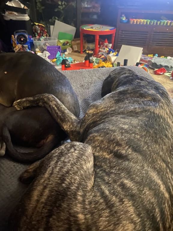 user uploaded review image4 , graphic