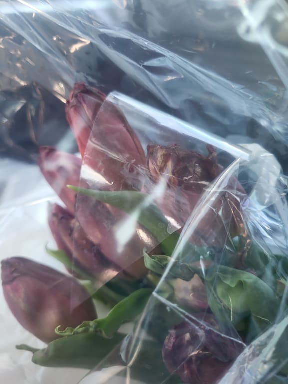 user uploaded review image2 , graphic