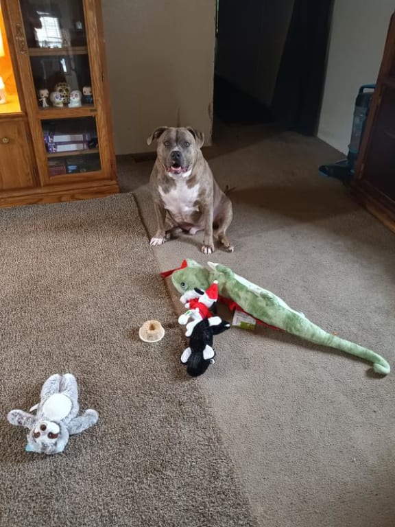 user uploaded review image1 , graphic