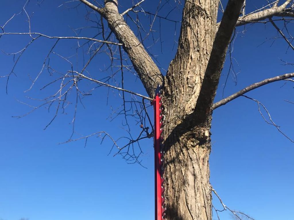 Cuts small limbs nicely
