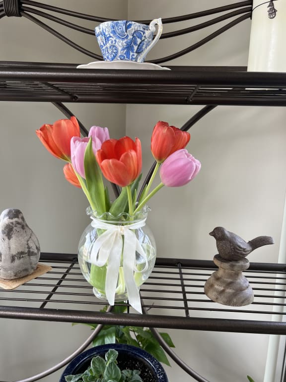 user uploaded review image4 , graphic